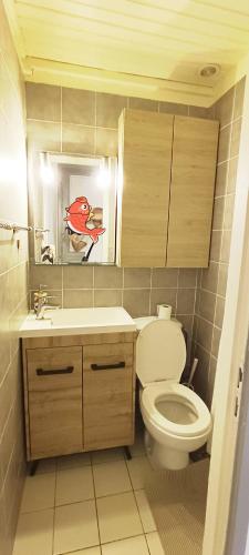une salle de bain avec toilettes et lavabo dans l'établissement joli studio proche tram et au calme, à Nice