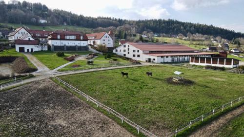 a group of cows standing in a field with buildings at Hotelový a jezdecký areál Dvůr Krutěnice in Krutěnice