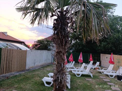 a group of lawn chairs and a palm tree with red umbrellas at ENIS Hotel с минерален басейн in Sapareva Banya