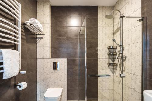 a bathroom with a shower and a toilet at Jaworowy Dom in Solina