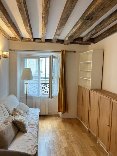 Spacious Parisian Flat Louvre Steps Eiffel Tower Access