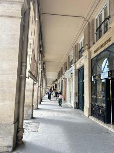Spacious Parisian Flat Louvre Steps Eiffel Tower Access