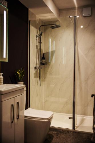 a bathroom with a shower with a toilet and a sink at Annex at The Stables in the Heart of England in Hinckley