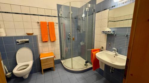 a bathroom with a toilet a sink and a shower at Hotelový a jezdecký areál Dvůr Krutěnice in Krutěnice