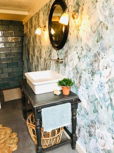 a bathroom with a sink and a mirror at Bed & Breakfast [H]eerlijk! in De Kwakel