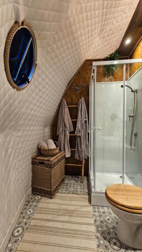a bathroom with a shower and a toilet at Logements insolites du Domaine de la Tuilière in Carnoules