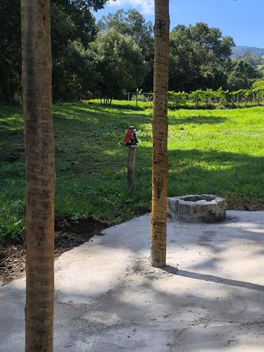 a fire hydrant in a park next to two palm trees at Chalés Recanto dos Sonhos in Camanducaia