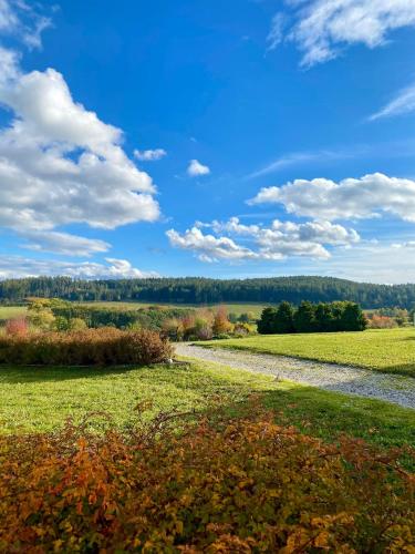 a path through a field with a blue sky and clouds at Hotelový a jezdecký areál Dvůr Krutěnice in Krutěnice