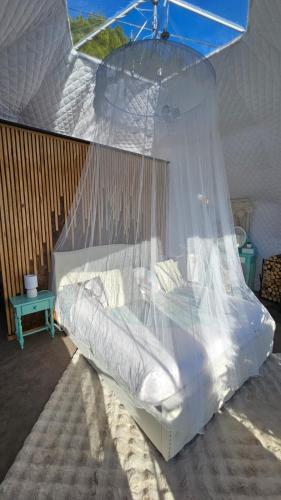 a bed with a mosquito net in a room at Logements insolites du Domaine de la Tuilière in Carnoules