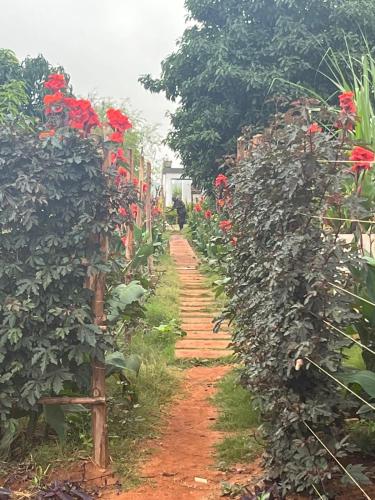 Gallery image of Elmadel Coffee Gardens 4Bed Rustic Wooden House in Machakos