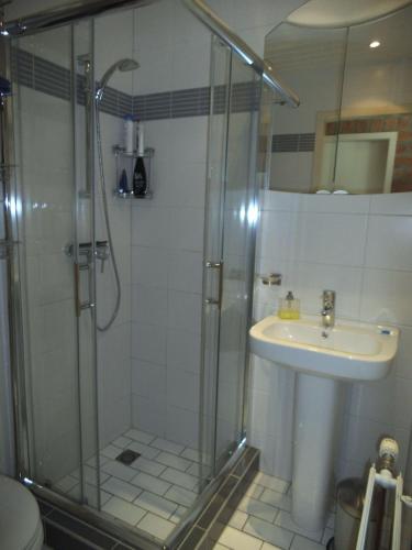a bathroom with a shower and a sink at Ferienhaus-Naumann-Kreetz in Burgerbrug