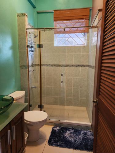 a bathroom with a shower and a toilet at Nia's Hillside Apartment - Amazing Scenery in Grande Rivière