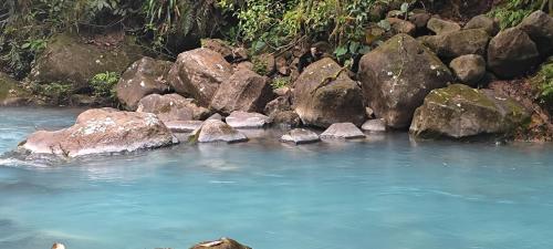 a group of rocks in a river with blue water at Río Celeste Nature View in Upala