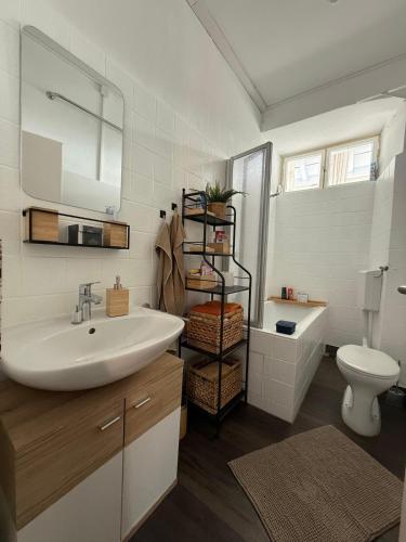 a bathroom with a sink and a toilet at Basseltang urban apartment in Grenzach-Wyhlen