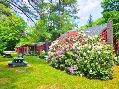 a garden with flowers in front of a red building at Phoenicia Lodge in Phoenicia