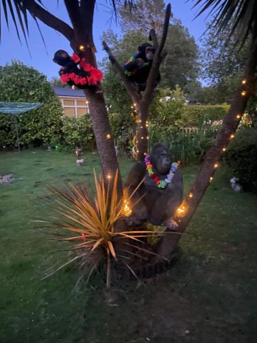 a statue of a man sitting in a tree with lights at The Dog House in Humberston