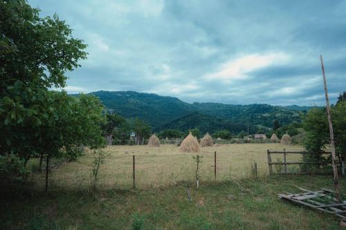 a field full of hay with mountains in the background at La Marița in Grinţieş
