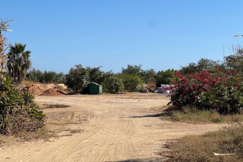 an empty dirt road with flowers and trees at Meditation Haven 1BR Pitahaya in San José del Cabo