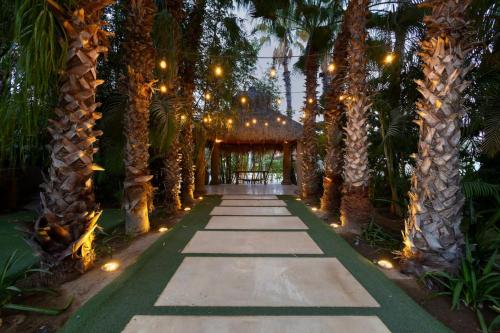 a pathway lined with palm trees with lights at Meditation Haven 1BR Pitahaya in San José del Cabo