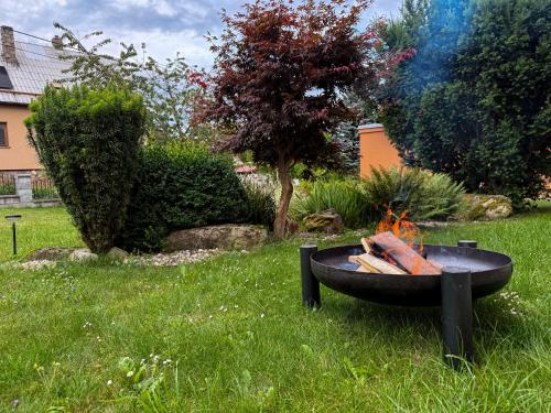 a fire pit in the grass in a yard at Chalupa Tylda in Lhota