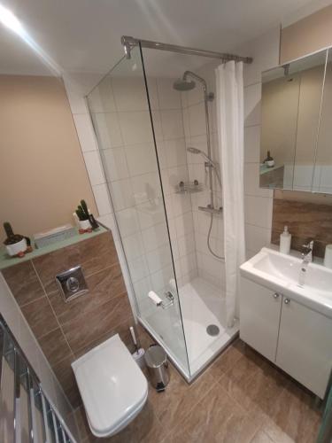 a bathroom with a shower and a toilet and a sink at Studio Apartment Hochgratflair in Oberstaufen