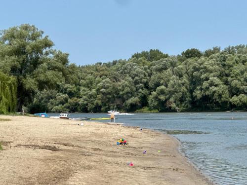 a sandy beach next to a river with trees at Kis-Duna Vendégház in Dunabogdány