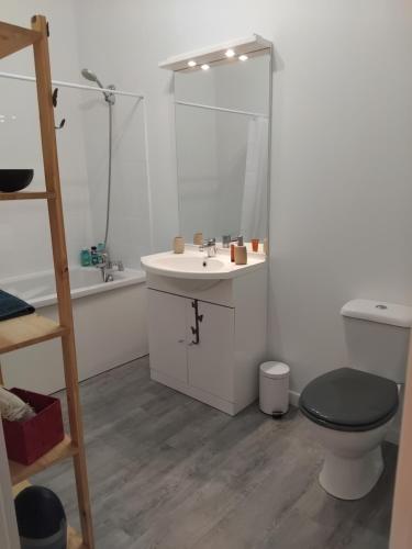 une salle de bain avec toilettes, lavabo et miroir dans l'établissement Le petit cocon, à Cerdon