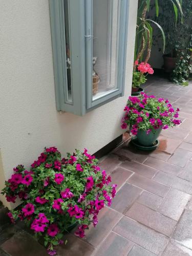 a window with flowers on the side of a house at Apartments 135 in Vršac
