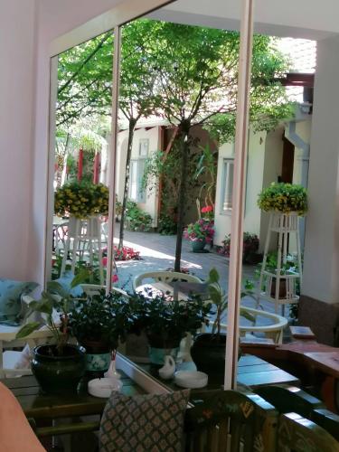a room with a table with potted plants on it at Apartments 135 in Vršac