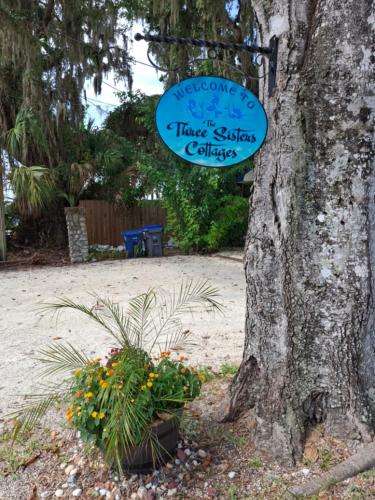 a sign hanging from a tree next to a plant at The Three Sisters - Pelican Crystal River FL in Crystal River