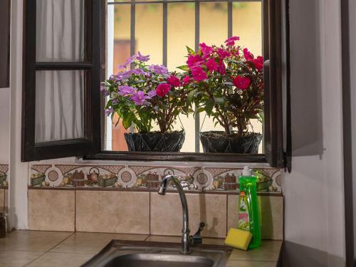 a kitchen sink with flowers in a window at Apartamentos Antigua in Antigua Guatemala