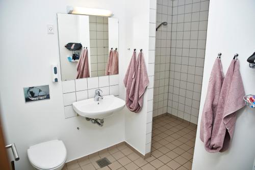 uma casa de banho com um lavatório, um WC e um espelho. em Danhostel Kolding em Kolding