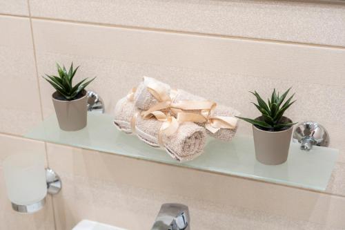 ヴァルナ・シティにあるCABA Apartmentの2つの鉢植えが置かれたバスルームの棚