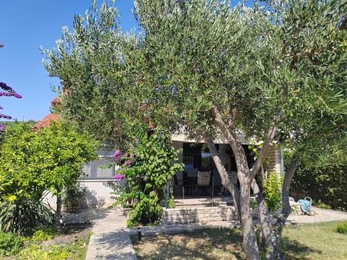 a house with a tree in front of it at House Roko by the sea in Sveti Petar