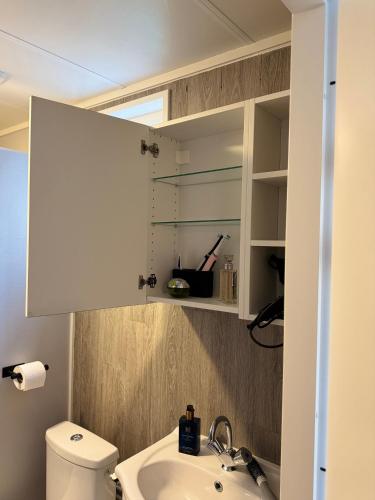 a bathroom with a sink and a toilet at Chalet Boerennest bij strand en duinen - Midicamping Van der Burgh - Rockanje in Rockanje