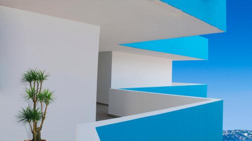 a room with blue and white walls and a plant at Dorados Acapulco in Acapulco