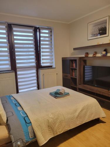 Un dormitorio con una cama, una chimenea y un televisor. en Nowa Apartment, en Wroclaw