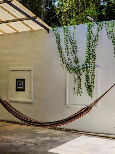 a wall with a window with a plant hanging from it at Haciendita Xul-ha - 4 Habitaciones in Xul-Ha