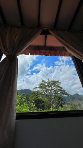 別荘から撮影された、または一般的な山の景色