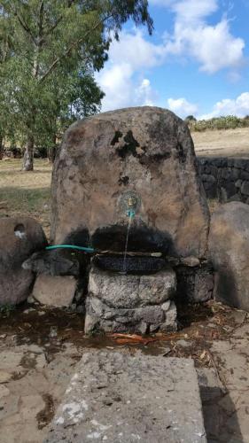 a rock with a hose hooked up to a water fountain at S'Istella Affittacamere in Tinnura