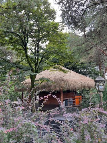 Zahrada ubytování Dreamland Oasis Sea View Studio with Garden