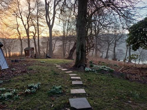 a stepping stone path around a tree in a park at Jesters Island in Farum