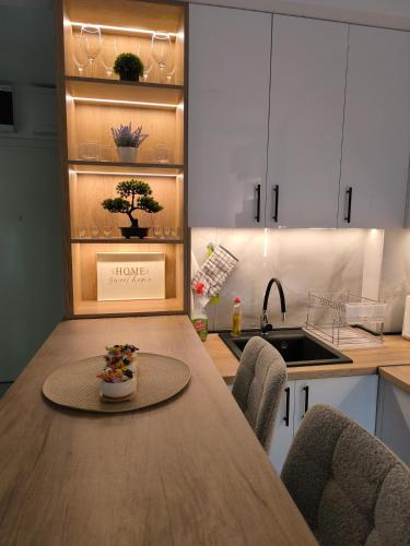 a kitchen with a table with chairs and a sink at Apartman Vujanac in Vrnjačka Banja