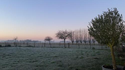 a fence in a field with trees in the background at Kokkelikoo in Blankenberge