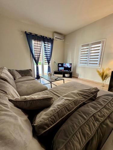 Athens Nest