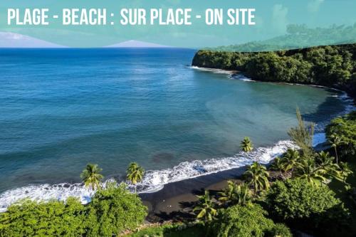 a view of a beach with palm trees and the ocean at Blue Horizon - Le Luxury Matavai Beach - Piscine - Vue Mer in Arue