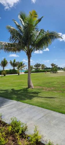 a palm tree in a green field with a sidewalk at SantoriniRD in Punta Cana