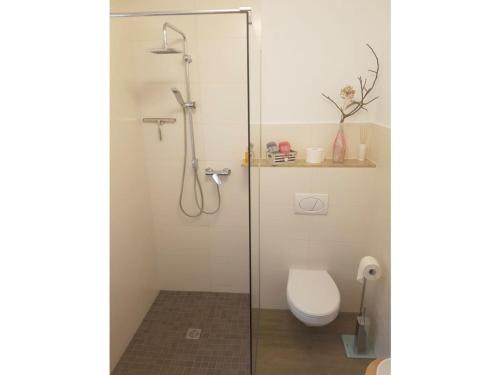 a bathroom with a toilet and a glass shower stall at on the edge of town Comfortable Vacation Home in Bad Schandau