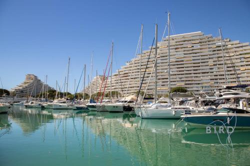 un groupe de bateaux amarrés dans un port de plaisance avec un grand bâtiment dans l'établissement Lovely studio in Marina Baie des Anges, à Villeneuve-Loubet