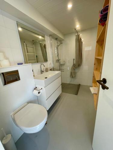 a bathroom with a white toilet and a sink at Holiday home close to beach and Keukenhof in Noordwijkerhout
